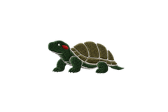 SWEATS turtle mascot
